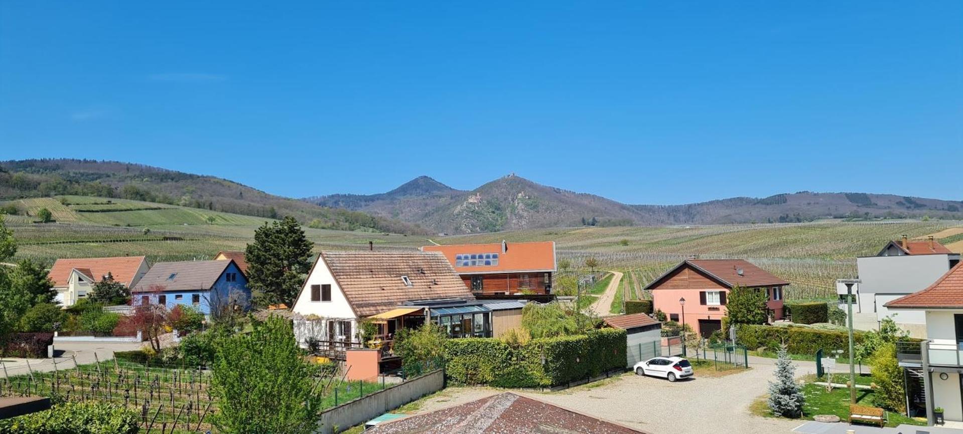 Maison D'Hotes Sainte Hune Appartements Hunawihr Pokoj fotografie